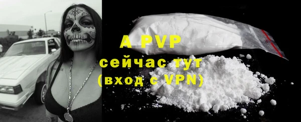 сатива Володарск