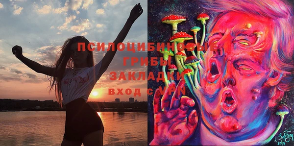 сатива Володарск
