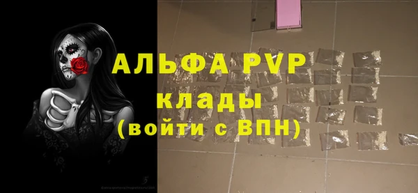 сатива Володарск