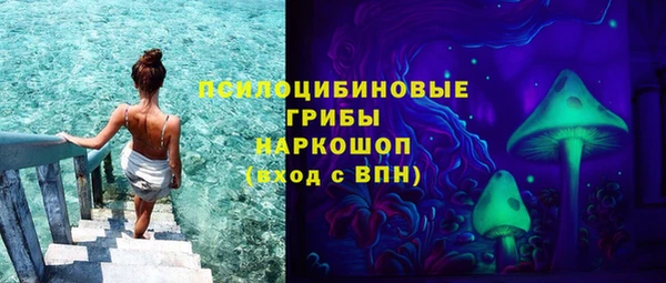 сатива Володарск