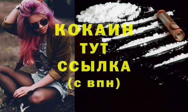 сатива Володарск